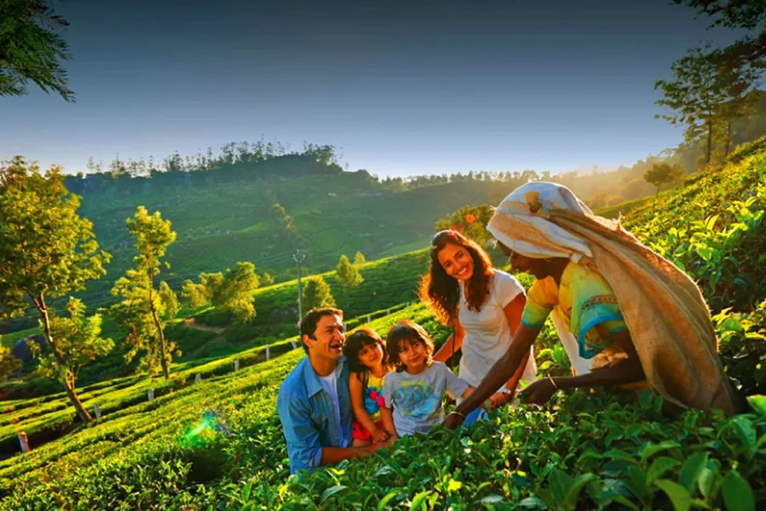 Kerala Hill Stations Tour