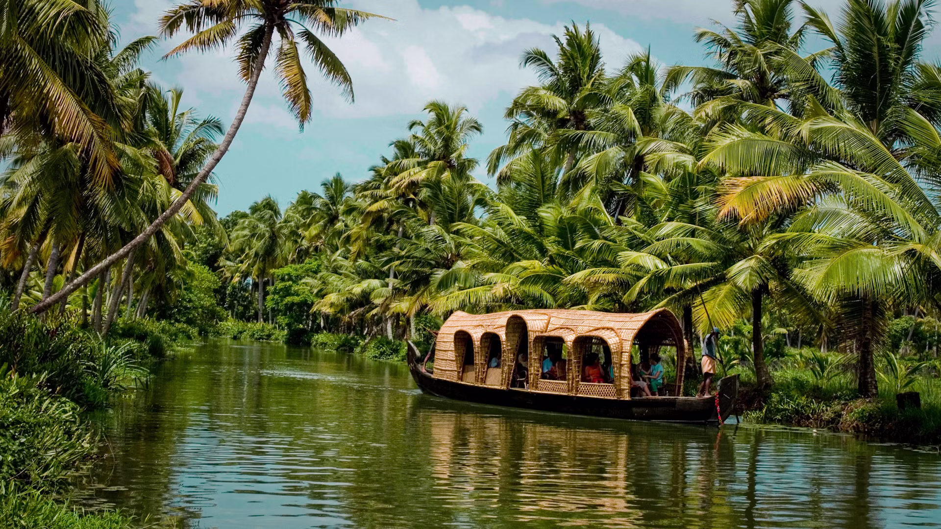 Lush Greenery
